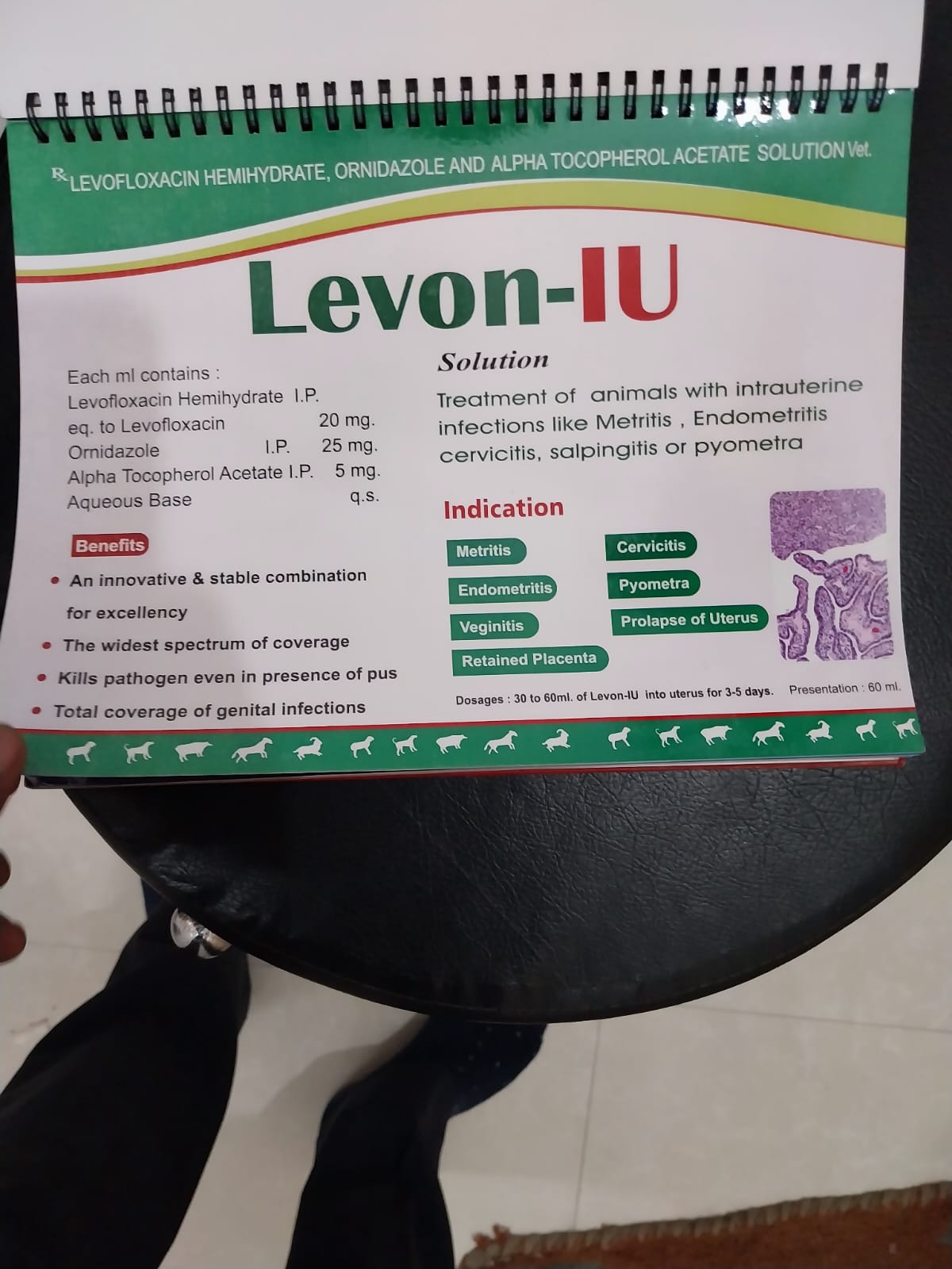 Levon-IU solution for intrauterine infections in cattle